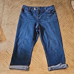 Style & Co Capri jeans size 8P